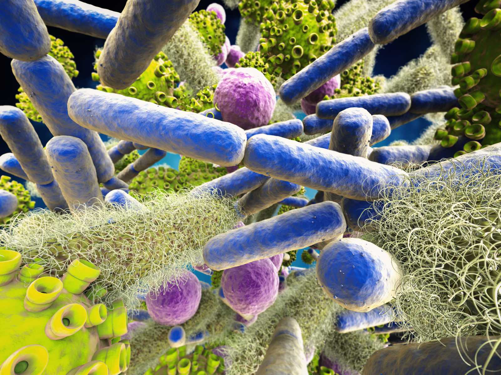 Bakterien im Trinkwasser