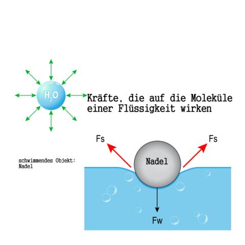 Oberflächenspannung bei Wasser – woher kommt sie?